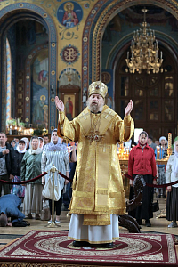 Тут описание фото или заголовок новости