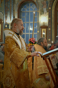 Тут описание фото или заголовок новости