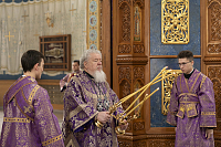 Тут описание фото или заголовок новости