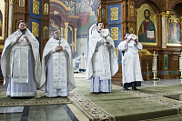Тут описание фото или заголовок новости