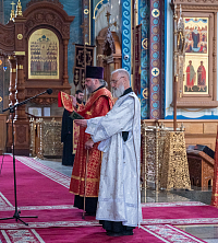 Тут описание фото или заголовок новости