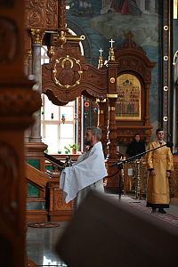 Тут описание фото или заголовок новости
