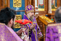 Тут описание фото или заголовок новости
