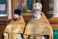 Тут описание фото или заголовок новости
