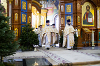 Тут описание фото или заголовок новости