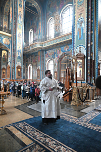 Тут описание фото или заголовок новости