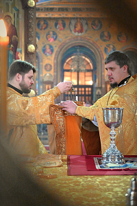 Тут описание фото или заголовок новости
