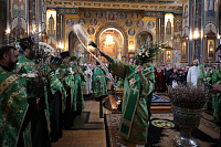 Тут описание фото или заголовок новости