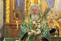 Тут описание фото или заголовок новости