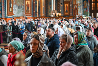 Тут описание фото или заголовок новости