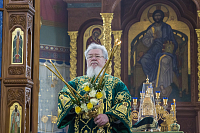 Тут описание фото или заголовок новости
