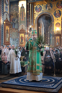 Тут описание фото или заголовок новости