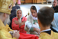 Тут описание фото или заголовок новости