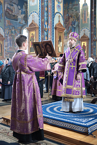 Тут описание фото или заголовок новости