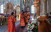 Тут описание фото или заголовок новости