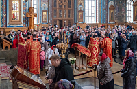 Тут описание фото или заголовок новости