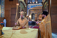 Тут описание фото или заголовок новости