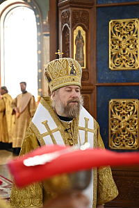 Тут описание фото или заголовок новости