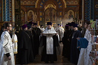 Тут описание фото или заголовок новости