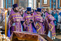 Тут описание фото или заголовок новости