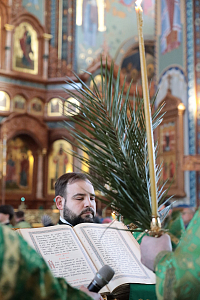 Тут описание фото или заголовок новости