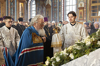 Тут описание фото или заголовок новости