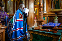 Тут описание фото или заголовок новости