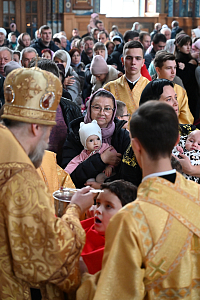 Тут описание фото или заголовок новости