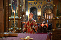 Тут описание фото или заголовок новости