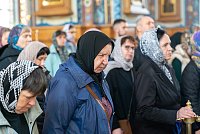 Тут описание фото или заголовок новости