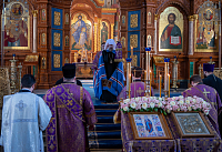 Тут описание фото или заголовок новости