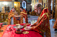 Тут описание фото или заголовок новости
