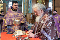 Тут описание фото или заголовок новости