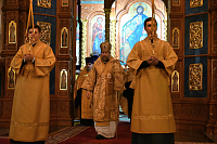 Тут описание фото или заголовок новости