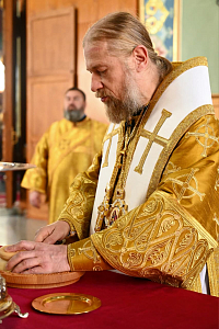 Тут описание фото или заголовок новости