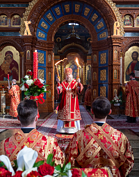 Тут описание фото или заголовок новости