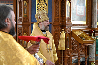 Тут описание фото или заголовок новости