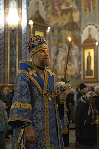 Тут описание фото или заголовок новости