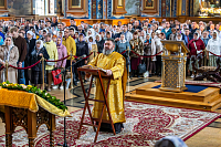 Тут описание фото или заголовок новости