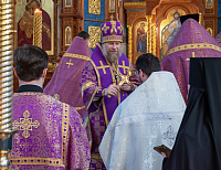 Тут описание фото или заголовок новости