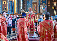 Тут описание фото или заголовок новости
