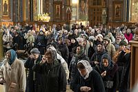 Тут описание фото или заголовок новости