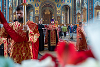 Тут описание фото или заголовок новости