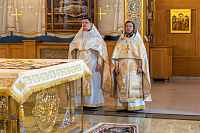 Тут описание фото или заголовок новости