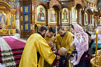 Тут описание фото или заголовок новости