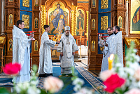 Тут описание фото или заголовок новости