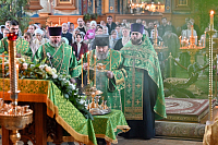 Тут описание фото или заголовок новости