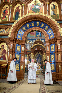 Тут описание фото или заголовок новости
