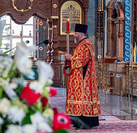 Тут описание фото или заголовок новости