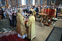 Тут описание фото или заголовок новости